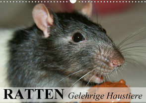 Ratten – Gelehrige Haustiere (Wandkalender 2021 DIN A3 quer) von Stanzer,  Elisabeth