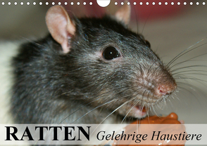 Ratten – Gelehrige Haustiere (Wandkalender 2021 DIN A4 quer) von Stanzer,  Elisabeth