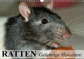 Ratten – Gelehrige Haustiere (Wandkalender 2022 DIN A3 quer) von Stanzer,  Elisabeth