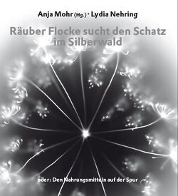 Räuber Flocke sucht den Schatz im Silberwald von Grimm,  Fred, Mohr,  Anja, Nehring,  Lydia