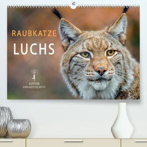 Raubkatze Luchs (Premium, hochwertiger DIN A2 Wandkalender 2023, Kunstdruck in Hochglanz) von Roder,  Peter