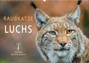 Raubkatze Luchs (Wandkalender 2023 DIN A2 quer) von Roder,  Peter