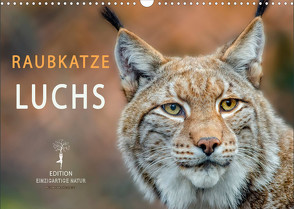 Raubkatze Luchs (Wandkalender 2023 DIN A3 quer) von Roder,  Peter