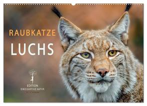 Raubkatze Luchs (Wandkalender 2024 DIN A2 quer), CALVENDO Monatskalender von Roder,  Peter