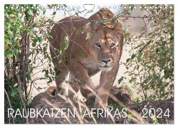 Raubkatzen Afrikas (Wandkalender 2024 DIN A4 quer), CALVENDO Monatskalender von Lippmann,  Andreas