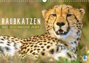 Raubkatzen: Geschmeidige Jäger (Wandkalender 2022 DIN A3 quer) von CALVENDO