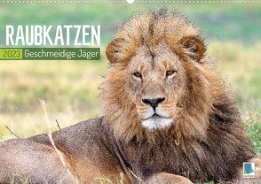 Raubkatzen: Geschmeidige Jäger (Wandkalender 2023 DIN A2 quer) von CALVENDO