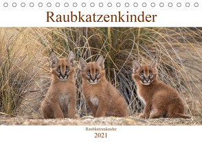 Raubkatzenkinder (Tischkalender 2021 DIN A5 quer) von Vollborn,  Marion