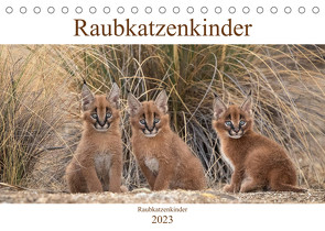 Raubkatzenkinder (Tischkalender 2023 DIN A5 quer) von Vollborn,  Marion