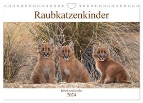 Raubkatzenkinder (Wandkalender 2024 DIN A4 quer), CALVENDO Monatskalender von Vollborn,  Marion