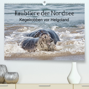 Raubtier der Nordsee – Kegelrobben vor Helgoland (Premium, hochwertiger DIN A2 Wandkalender 2021, Kunstdruck in Hochglanz) von Quentin,  Udo