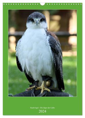 Raubvögel – Die Jäger der Lüfte (Wandkalender 2024 DIN A3 hoch), CALVENDO Monatskalender von Klatt,  Arno