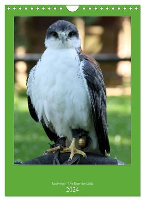 Raubvögel – Die Jäger der Lüfte (Wandkalender 2024 DIN A4 hoch), CALVENDO Monatskalender von Klatt,  Arno