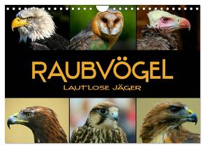 Raubvögel – lautlose Jäger (Wandkalender 2024 DIN A4 quer), CALVENDO Monatskalender von Bleicher,  Renate