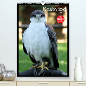 Raubvögel (Premium, hochwertiger DIN A2 Wandkalender 2023, Kunstdruck in Hochglanz) von Klatt,  Arno