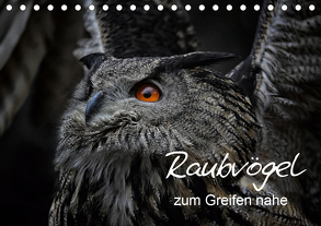 Raubvögel zum Greifen nahe (Tischkalender 2020 DIN A5 quer) von Milfeit,  Michael