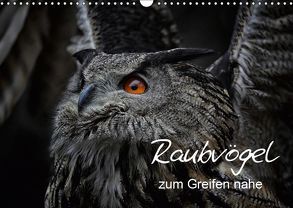 Raubvögel zum Greifen nahe (Wandkalender 2019 DIN A3 quer) von Milfeit,  Michael
