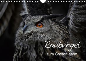 Raubvögel zum Greifen nahe (Wandkalender 2019 DIN A4 quer) von Milfeit,  Michael