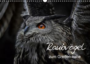 Raubvögel zum Greifen nahe (Wandkalender 2020 DIN A3 quer) von Milfeit,  Michael