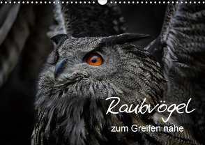 Raubvögel zum Greifen nahe (Wandkalender 2021 DIN A3 quer) von Milfeit,  Michael