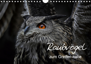 Raubvögel zum Greifen nahe (Wandkalender 2021 DIN A4 quer) von Milfeit,  Michael