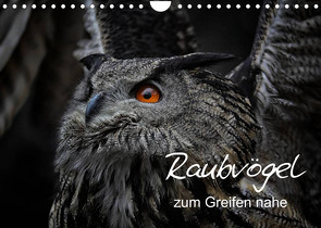 Raubvögel zum Greifen nahe (Wandkalender 2023 DIN A4 quer) von Milfeit,  Michael