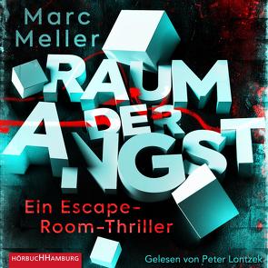 Raum der Angst von Lontzek,  Peter, Meller,  Marc