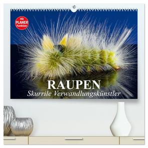 Raupen. Skurrile Verwandlungskünstler (hochwertiger Premium Wandkalender 2024 DIN A2 quer), Kunstdruck in Hochglanz von Stanzer,  Elisabeth