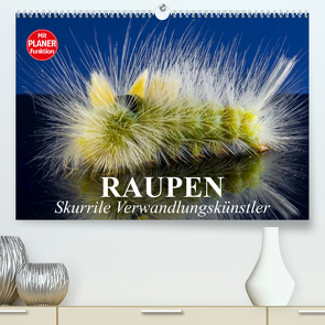 Raupen. Skurrile Verwandlungskünstler (Premium, hochwertiger DIN A2 Wandkalender 2023, Kunstdruck in Hochglanz) von Stanzer,  Elisabeth