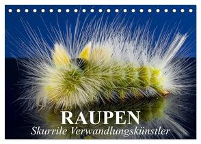 Raupen – Skurrile Verwandlungskünstler (Tischkalender 2024 DIN A5 quer), CALVENDO Monatskalender von Stanzer,  Elisabeth