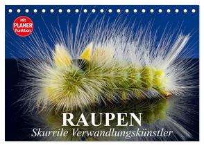 Raupen. Skurrile Verwandlungskünstler (Tischkalender 2024 DIN A5 quer), CALVENDO Monatskalender von Stanzer,  Elisabeth