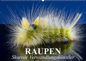 Raupen – Skurrile Verwandlungskünstler (Wandkalender 2023 DIN A2 quer) von Stanzer,  Elisabeth