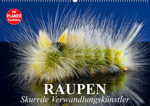 Raupen. Skurrile Verwandlungskünstler (Wandkalender 2023 DIN A2 quer) von Stanzer,  Elisabeth