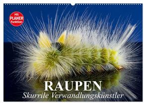 Raupen. Skurrile Verwandlungskünstler (Wandkalender 2024 DIN A2 quer), CALVENDO Monatskalender von Stanzer,  Elisabeth