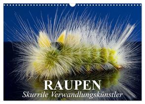 Raupen – Skurrile Verwandlungskünstler (Wandkalender 2024 DIN A3 quer), CALVENDO Monatskalender von Stanzer,  Elisabeth