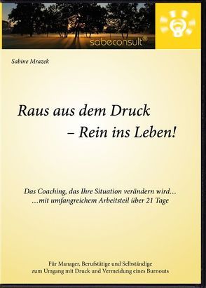 Raus aus dem Druck – Rein ins Leben! von Mrazek,  Sabine