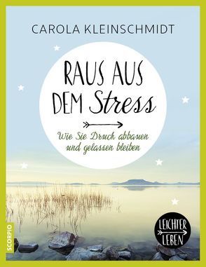 Raus aus dem Stress! von Kleinschmidt,  Carola