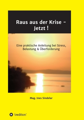 Raus aus der Krise – Jetzt ! von Sindelar,  Ines