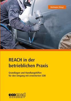 REACH in der betrieblichen Praxis von Bless,  Monika, Büttner,  Gabi, Gehlhaar,  Florian, Heitmann,  Kerstin, Kranz,  Eileen, Pagels,  Nils, Zahn,  Susanne