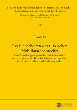 Realsicherheiten des türkischen Mobiliarsachenrechts von Er,  Elvan