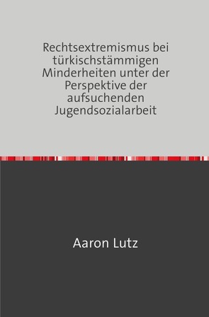 Rechtsextremismus bei türkischstämmigen Minderheiten unter der Perspektive der aufsuchenden Jugendsozialarbeit von Lutz,  Aaron