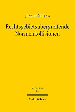 Rechtsgebietsübergreifende Normenkollisionen von Prütting,  Jens