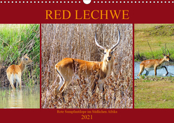 RED LECHWE Rote Sumpfantilope im Südlichen Afrika (Wandkalender 2021 DIN A3 quer) von Fraatz,  Barbara