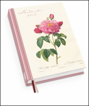 Redoutés Rosen Taschenkalender 2019 – Terminplaner mit Wochenkalendarium – Format 11,3 x 16,3 cm von DUMONT Kalenderverlag, Redouté,  Pierre-Joseph