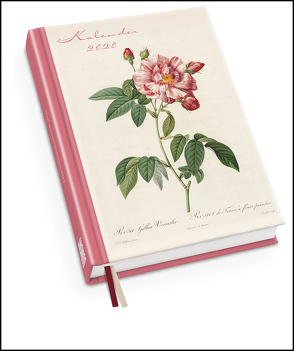 Redoutés Rosen Taschenkalender 2020 – Terminplaner mit Wochenkalendarium – Format 11,3 x 16,3 cm von DUMONT Kalenderverlag, Redouté,  Pierre-Joseph