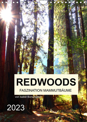 Redwoods – Faszination Mammutbäume (Wandkalender 2023 DIN A4 hoch) von Bürschgens,  Isabel