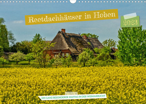 Reetdachhäuser in Hoben – Ein Maitag in der Wismarbucht (Wandkalender 2023 DIN A3 quer) von Felix,  Holger