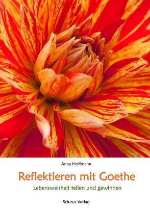 Reflektieren mit Goethe von Hoffmann,  Anna