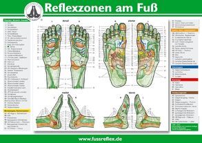 Reflexzonen am Fuß (A2) von Marquardt,  Hanne