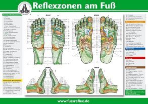 Reflexzonen am Fuß (A4) von Marquardt,  Hanne